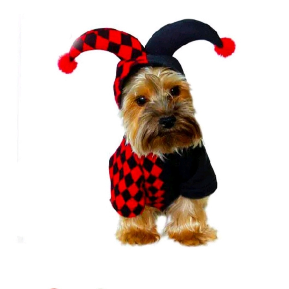 Halloween Funny Jester Pet Costume